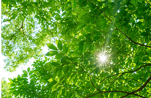 家の前で家族が集合しているイラスト